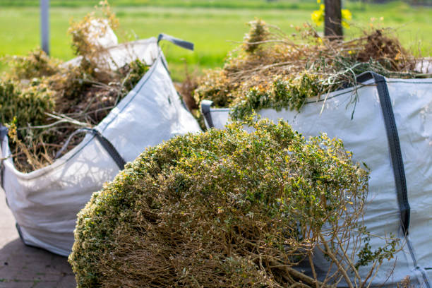 Best Household Junk Removal  in Eagle Lake, MN